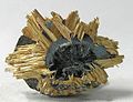 Platy Hematit merkezinden yayılan rutilin altın asiküler kristalleri
