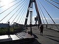 Pyrmont end of ANZAC Bridge, rest area where bicycle/pedestrian ramp joins the bridge from Quarry Master Drive (between Bank St. and Saunders St.)