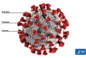 H γραφική απεικόνιση του κορονοϊού τύπου 2 όπως δημιουργήθηκε από εργαζομένους του CDC[1]