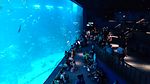 Marine Life Park