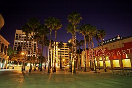 Circle of Palms Plaza