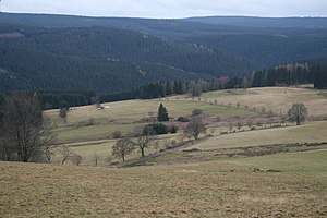 Mountain meadows south of Schönheide in autumn