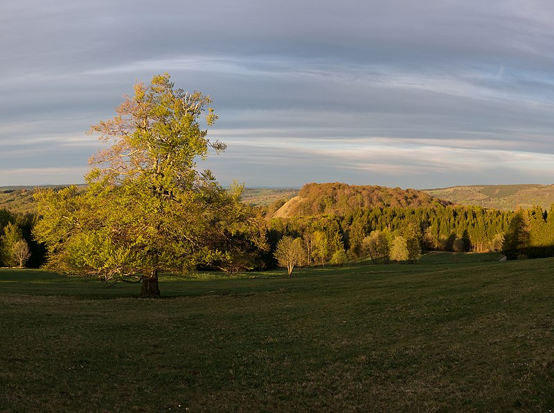 File:Schafstein von Westen am Abend.jpg