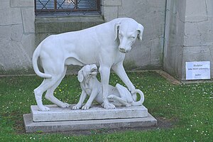 Schloss Babelsberg: Geschichte, Beschreibung, Sonderausstellungen