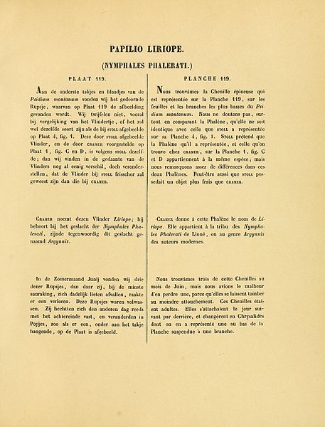 File:Sepp-Surinaamsche vlinders - pl 119 text1 Ortilia liriope.jpg