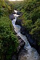 ʻOheʻo Gulch (Seven Sacred Pools)