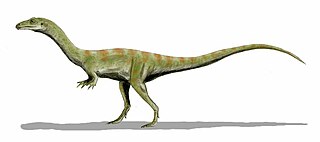 <i>Shuvosaurus</i> Genus of beaked reptile