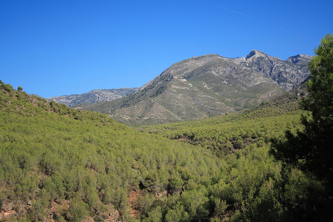 Parque Natural das Serras de Tejeda, Almijara e Alhama