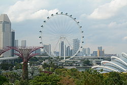 Singapore Flyer from gardens by the bay.JPG