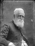 Sir William Fox, ca 1890.jpg