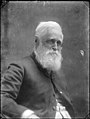 Sir William Fox, hacia 1890.jpg