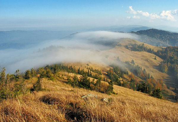 Хребет Парашка, НПП «Сколівські Бескиди», © Сергій Криниця, CC-BY-SA 3.0