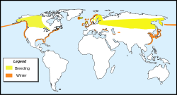 Područje rasprostranjenosti ušatoga gnjurca (žuto: za vrijeme parenja, narančasto: zimi)