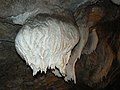 Snejanka-cave-udder.jpg