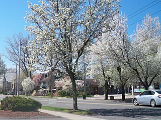 <span class="mw-page-title-main">Spring Glen, Hamden</span> Neighborhood in New Haven, Connecticut, United States