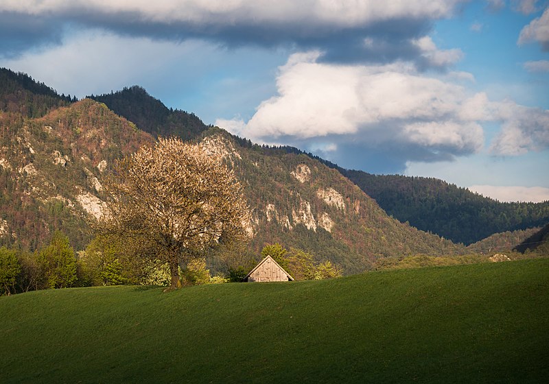 File:Spring in the hills of Blejska Dobrava 2017.jpg