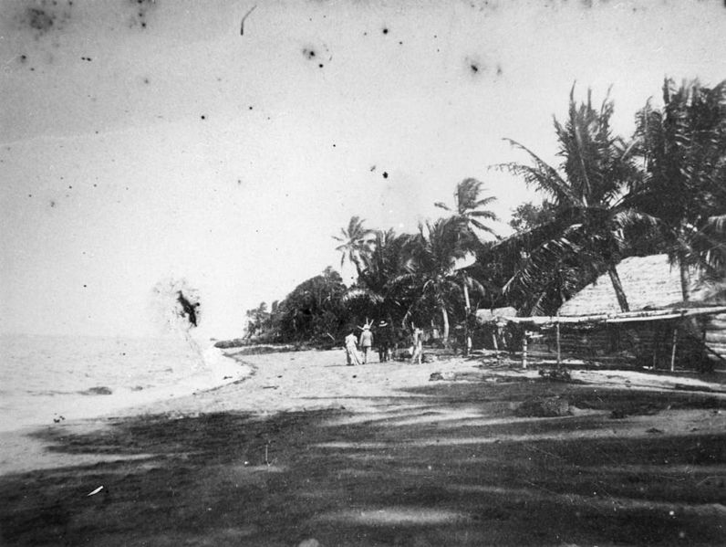 File:StateLibQld 1 77383 Walking on the beach at Darnley Island, Torres Strait, 1899.jpg