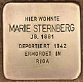 Stumbling block for Marie Sternberg (Kleinmachnow) .jpg