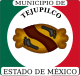 Tejupilco – Stemma