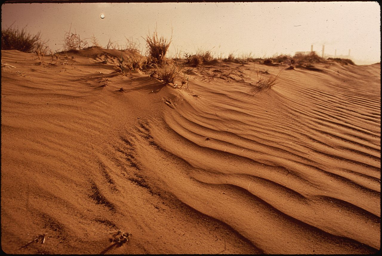 Nara Desert Escape Dubai