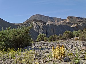 Tabernas al sur de Mini Hollywood OASYS-2.jpg