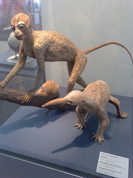 File:Taxidermied.jpg