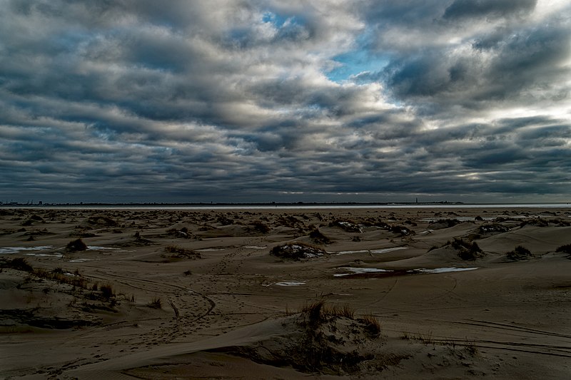 File:Texel - Nature Reserve De Hors at North Sea Beach - Winter of 2010 12.jpg