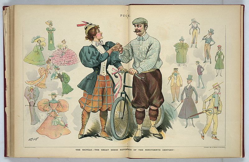 File:The bicycle - the great dress reformer of the nineteenth century! - Ehrhart. LCCN2012648650.jpg