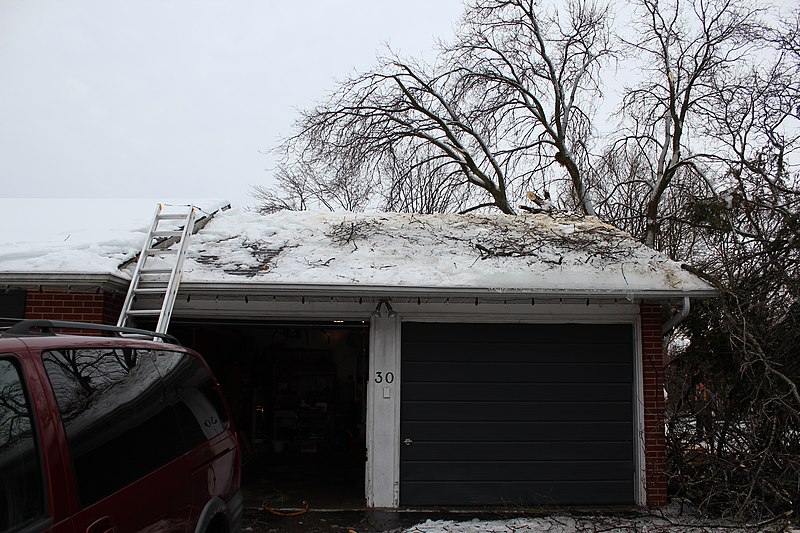 File:The front of the roof is mostly clear (11631689574).jpg