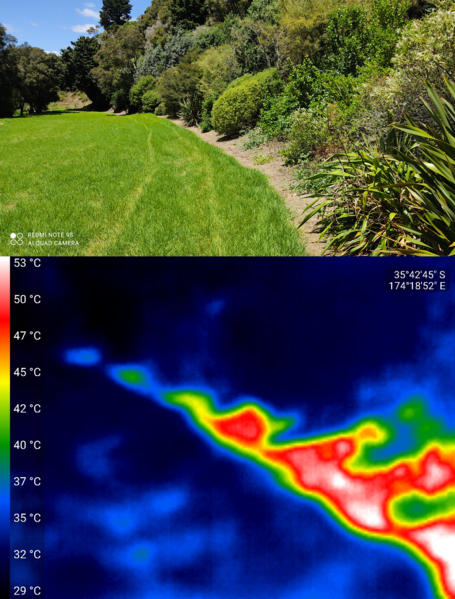 File:Thermal image and visual image of Coronation Reserve.png