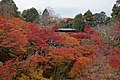View of maple trees from Tsūten-kyō