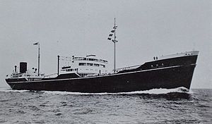 Toho Maru.jpg