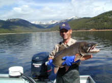 Turquoise Reservoir - Colorado Parks and Wildlife Trout fishing - Co state trout report.png