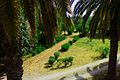 Tunis botanical garden photo 5.jpg