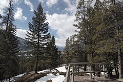 File:Tunnel Mountain Trees (3439856571).jpg (Category:Tunnel Mountain)