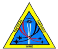 Thumbnail for File:USN Tactical Support Wing insignia.png