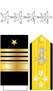 US Navy O10 insignia