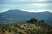 Monte Amiata bei Ost. Ansidónia