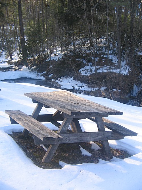 Picnic table and Upper Pine Bottom Run at Upper Pine Bottom State Park