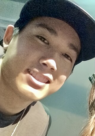 <span class="mw-page-title-main">VanossGaming</span> Canadian YouTuber and music producer