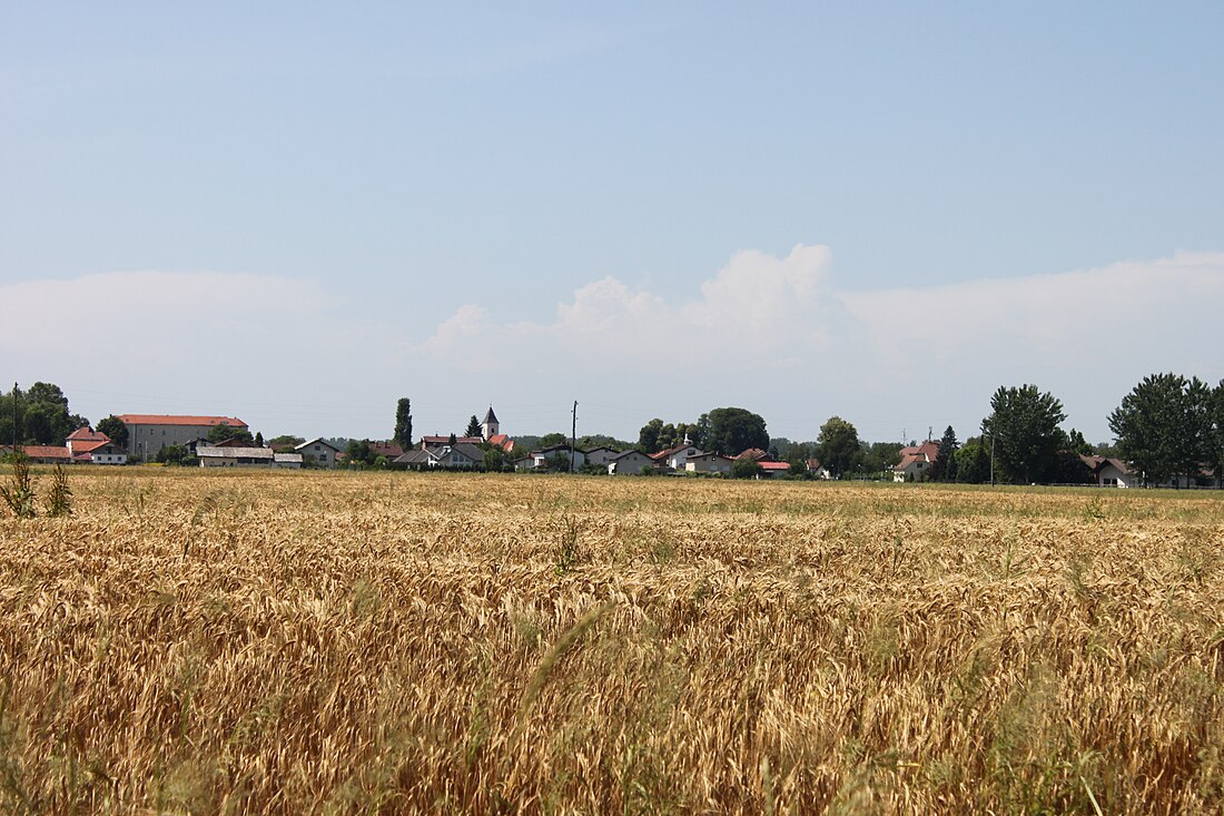 File:Verzej (Wernsee); Slowenien; in der Untersteiermark.JPG