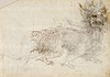 Vinci, Leonardo da - Study of a Dragon Costume - 1513.jpg