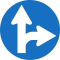 15: Vorgeschriebene Fahrtrichtung: Geradeaus fahren oder rechts abbiegen