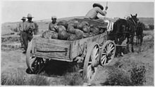 Wagon loaded with squash, Rosebud Indian Reservation, ca. 1936 Wagon loaded with squash - NARA - 285663.jpg