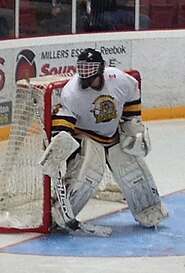 Lakers' goalie during 2013-14 season. Wallaceburg goalie 2013.JPG