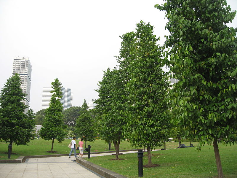 File:War Memorial Park 20.JPG