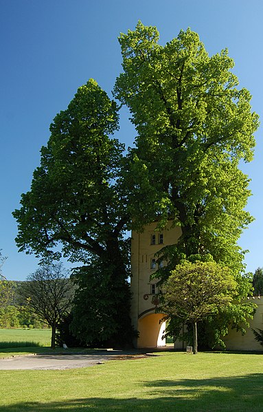 File:Water tower of Neuhirtenberger Kupferhammer1.jpg