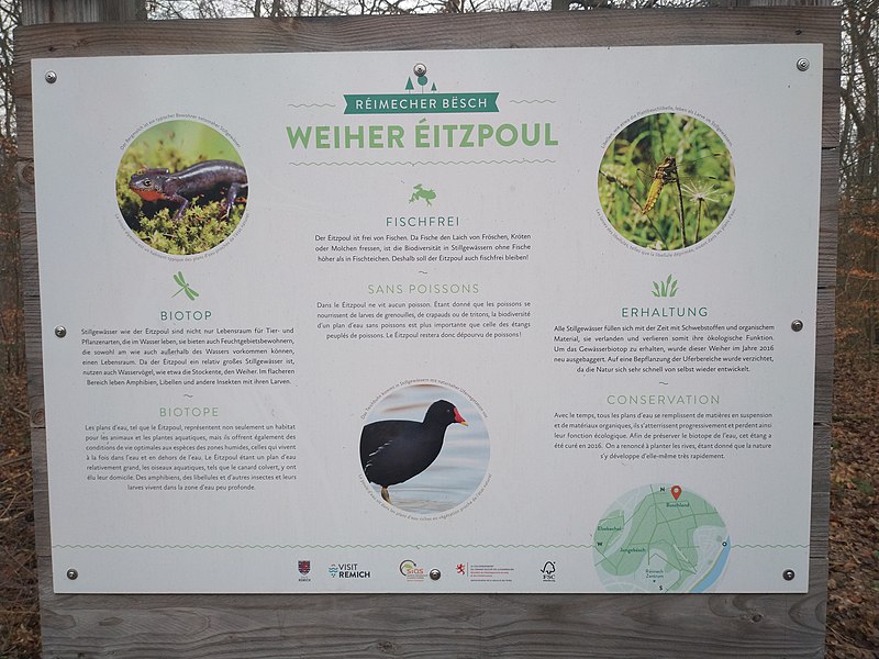 File:Weiher Éitzepoul Réimescher Bësch Info board.jpg