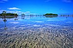 Wildlife Sanctuary in Olango Island.jpg