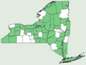 Woodwardia virginica NY-dist-map.png